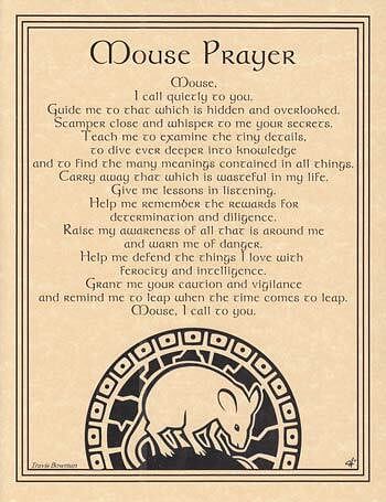 Mouse Prayer poster
