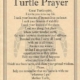 Turtle Prayer poster