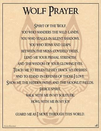 Wolf Prayer poster