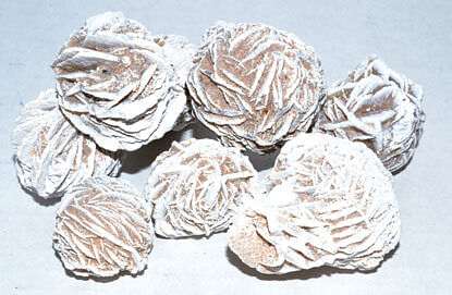 1 lb Desert Rose