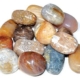 1 lb Coral, Fossil tumbled