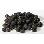 Juniper Berries Whole 2oz (Juniperus communis)