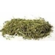1 Lb Scullcap cut (Scutelateriflora lateriflora)