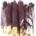 (set of 25) Dragon's Blood Palo Santo dip sticks                                                                        
