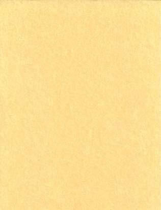 Light Parchment 5 Pack (8 1/2" x 11")