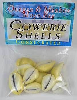 Cowrie Shells (Concha De Caliri) consecrated